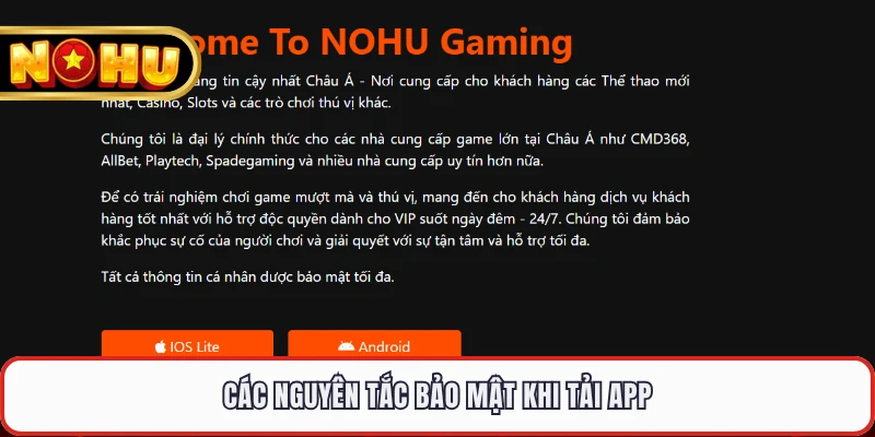 Các nguyên tắc bảo mật khi tải app